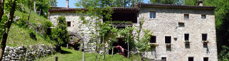 Lusiana Lusiana